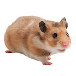 FreindBux