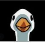 DuckGaming