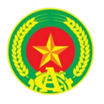 LARP | Vietnam People's Public Security