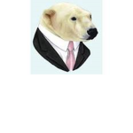 POLAR BEARS UNITED