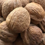 walnut slayer army