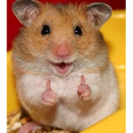 The mighty hamster club