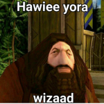 You’re A Wizard Harry