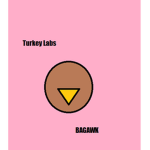 Turkey Labs