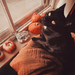 🎃