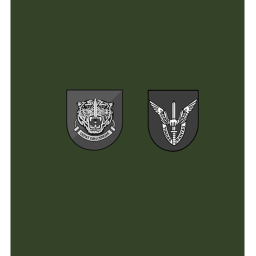 Eagle's Nest V2