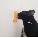 the dumb cheese