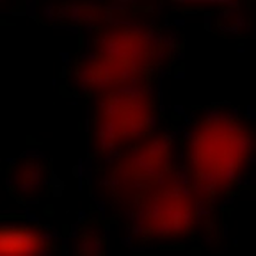 𝕀