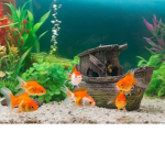 Fishy and robot group