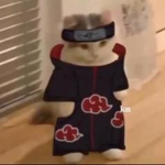 Snowy ( Call Of Robloxia Clan/Team)