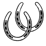 - Moo’s riding school!! -