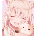 Gatinho soft