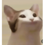 순이클럽