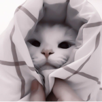 Chill bean<3