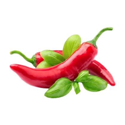Maanghang Studio Roblox group icon