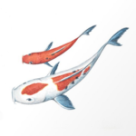 CoYfIsH