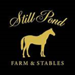 Still Pond Farm And Stables