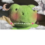 *. Angel Wings Aesthetic Clothing Store.*