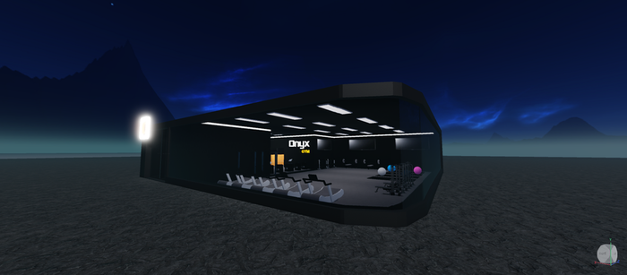 Onyx Gym - Claire preview 3
