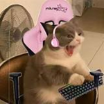 purrfecto!