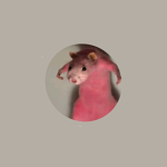 R Ä T S