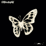 ttwilight