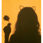 ~Brookhaven~RPs~