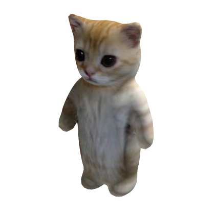 El gato Meme Costume