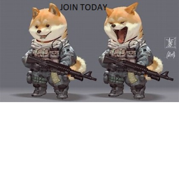 Doge History Muesum