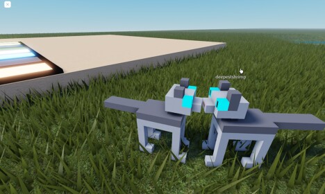 TEST