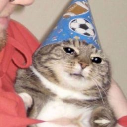 RAYS BIRTHDAY PARTY