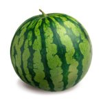 Melon's Studios