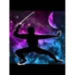 Galaxy Ninjas Bois