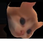 The group of cats i guess
