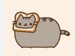 Cute kittycat club