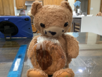 denden gets a cookie