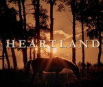 Heartland Riding Academy