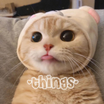 - t h i n g s-