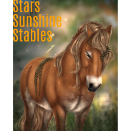 Stars Sunshine Stable