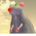ratz of Robloxia