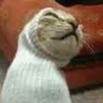 Sock cat community