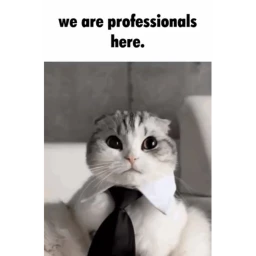 we are professionals here. icon