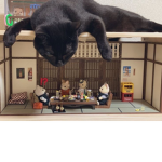 purring rawr