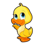 Untamed Ducks