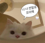 라일락