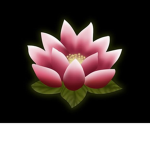 FlxwerLillys