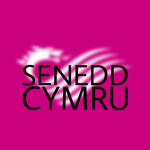 WLS | Senedd Cymru ᅠ