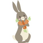 Bunnys_live