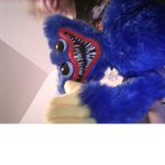 Squid cookie and huggy playtime