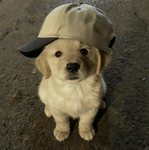 Home of cuteness
